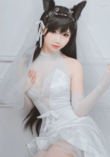 少帅分集剧情介绍_4K高清免费观看
